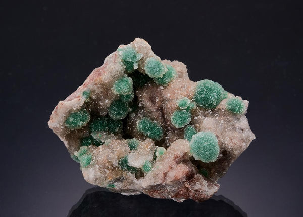 CC63324 specimen image