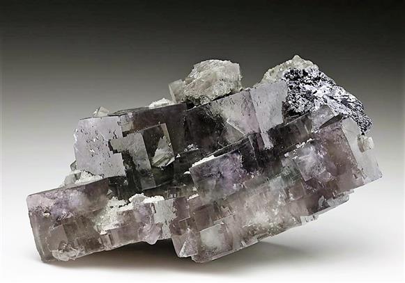 CC6334 specimen image