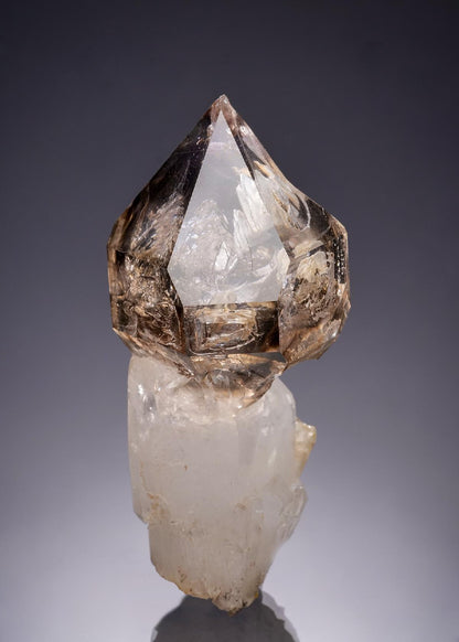 CC63348 specimen image