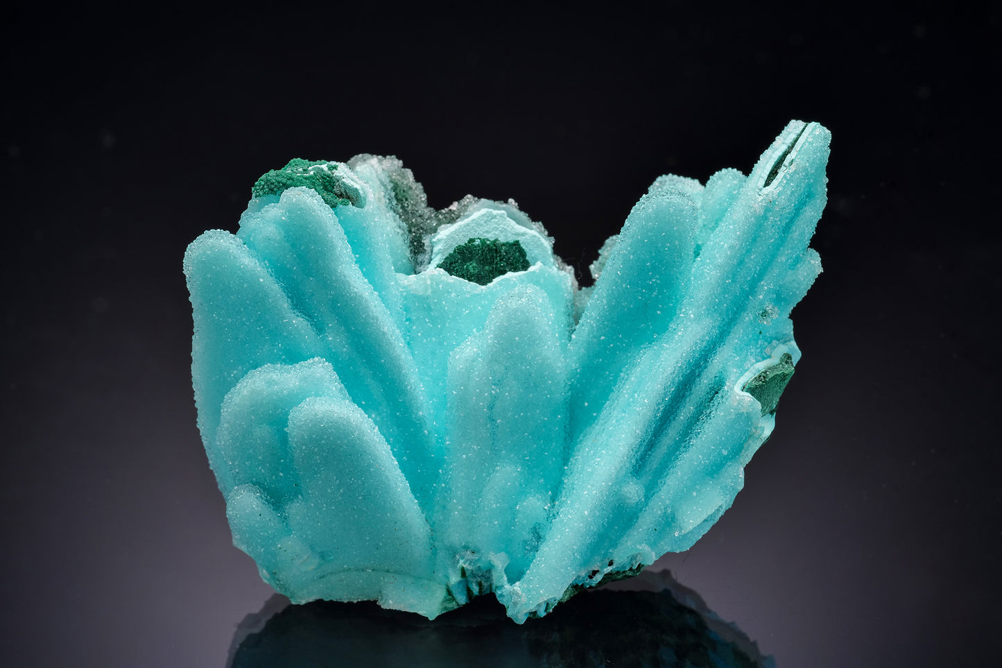 CHRYSOCOLLA ps. after MALACHITE with QUARTZ