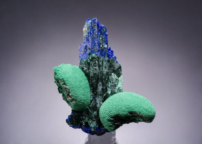 CC63387 specimen image