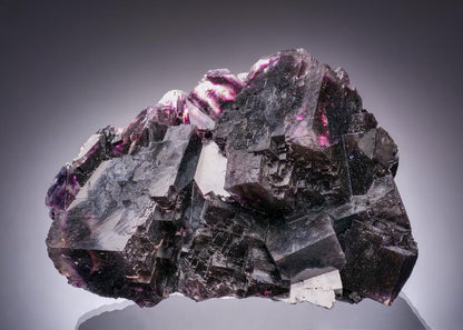 CC63390 specimen image