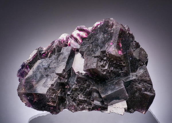 CC63390 specimen image