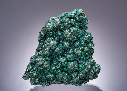 CC63402 specimen image