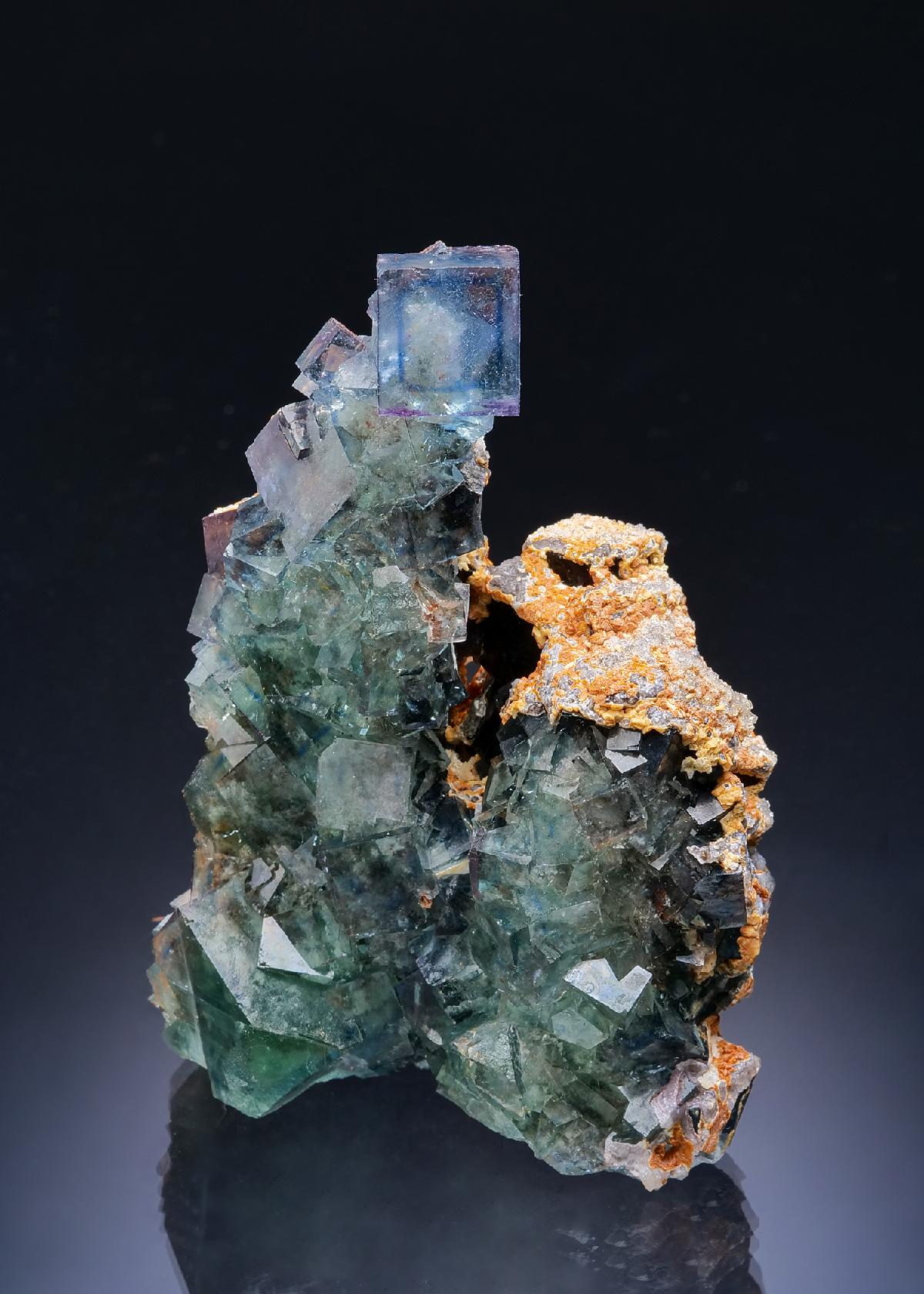 CC63435 specimen image