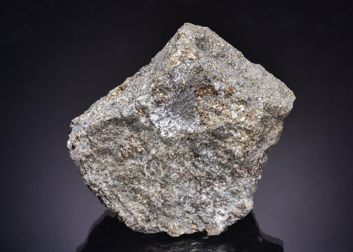 CC63462 specimen image