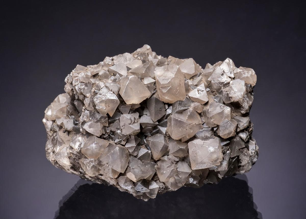 CC63471 specimen image