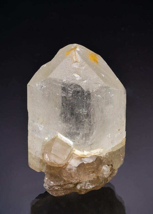 CC63486 specimen image