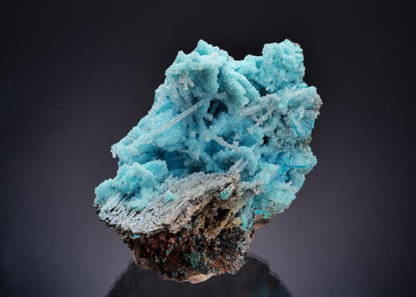 CC63516 specimen image