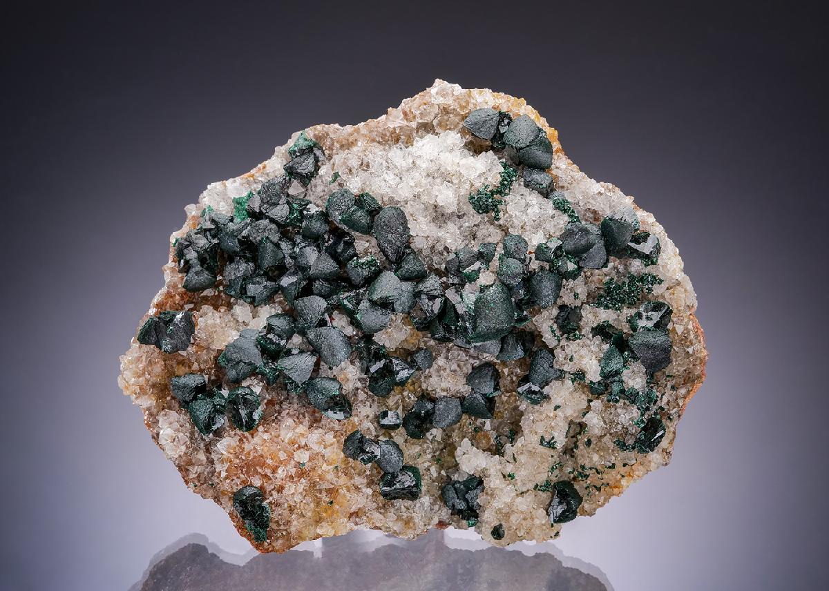 CC63522 specimen image