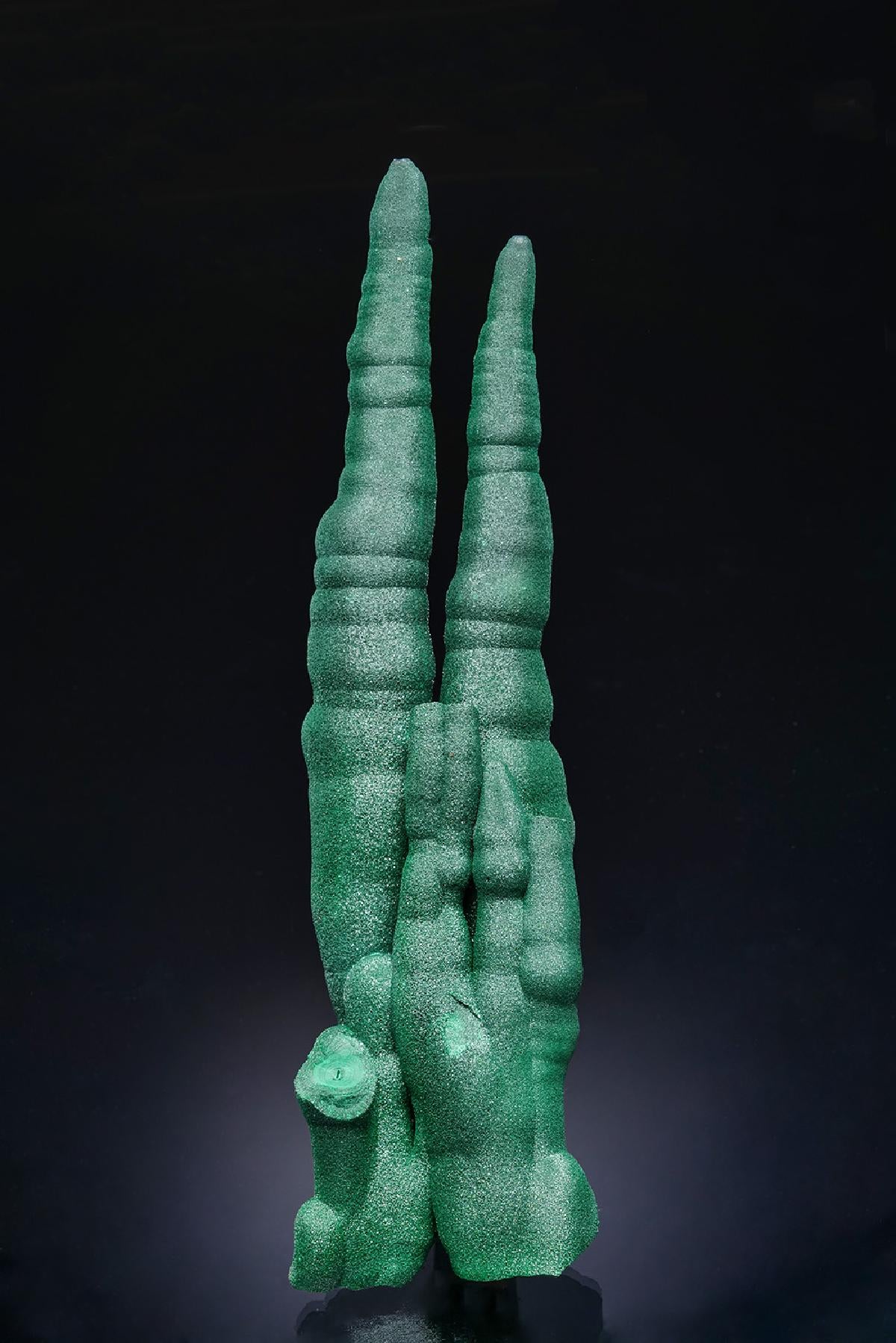 CC63525 specimen image