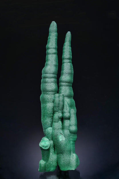 CC63525 specimen image