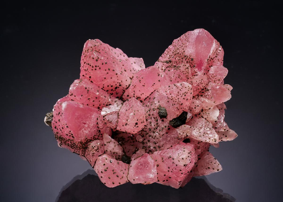 CC63531 specimen image