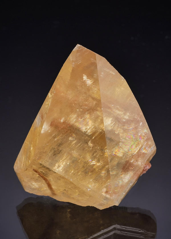 CC63534 specimen image