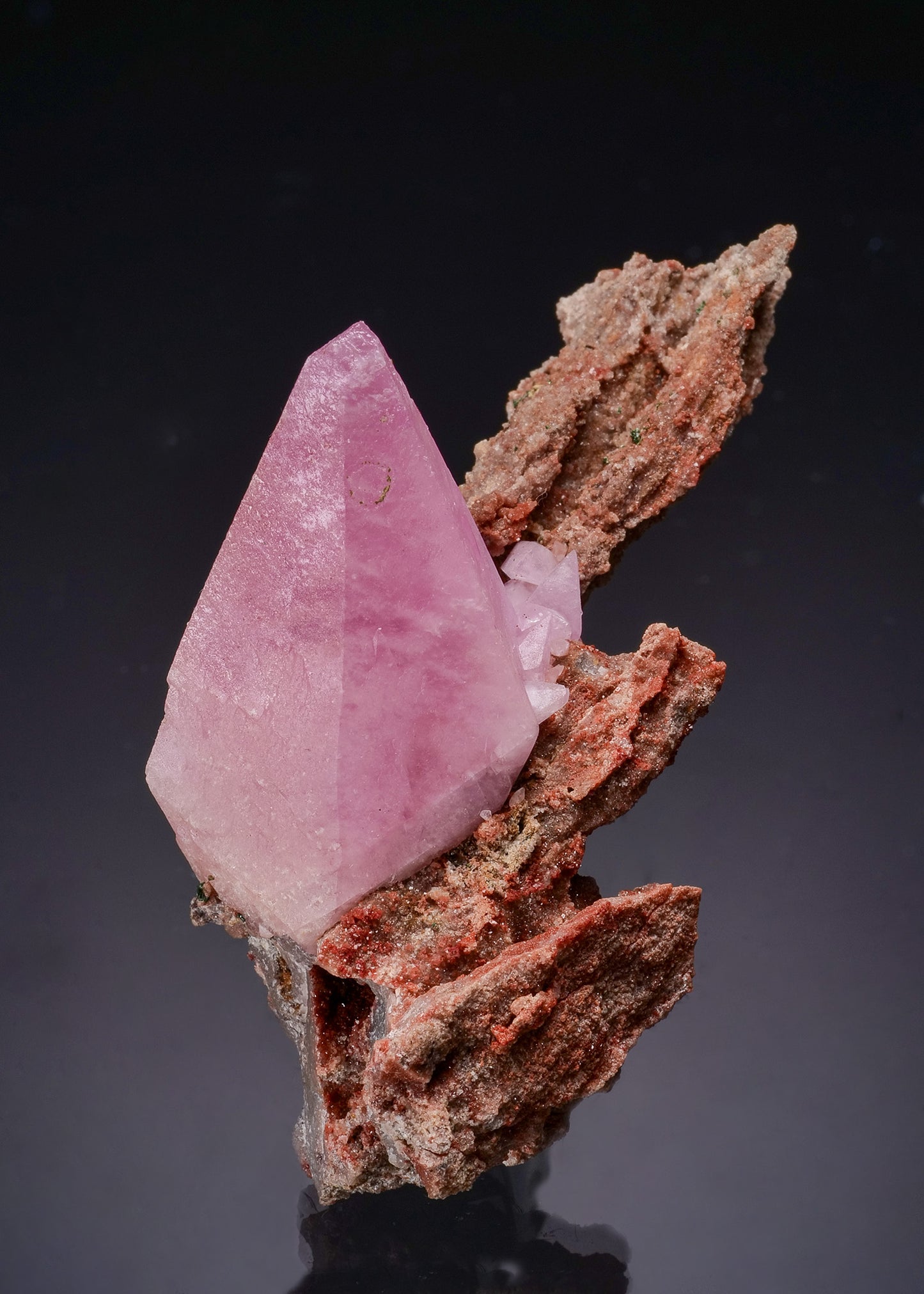 Cobaltoan CALCITE
