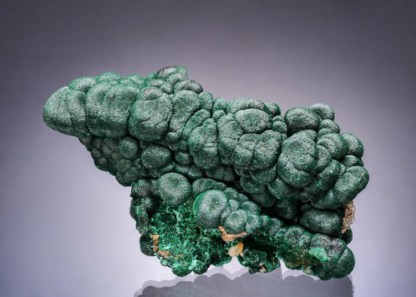 CC63543 specimen image