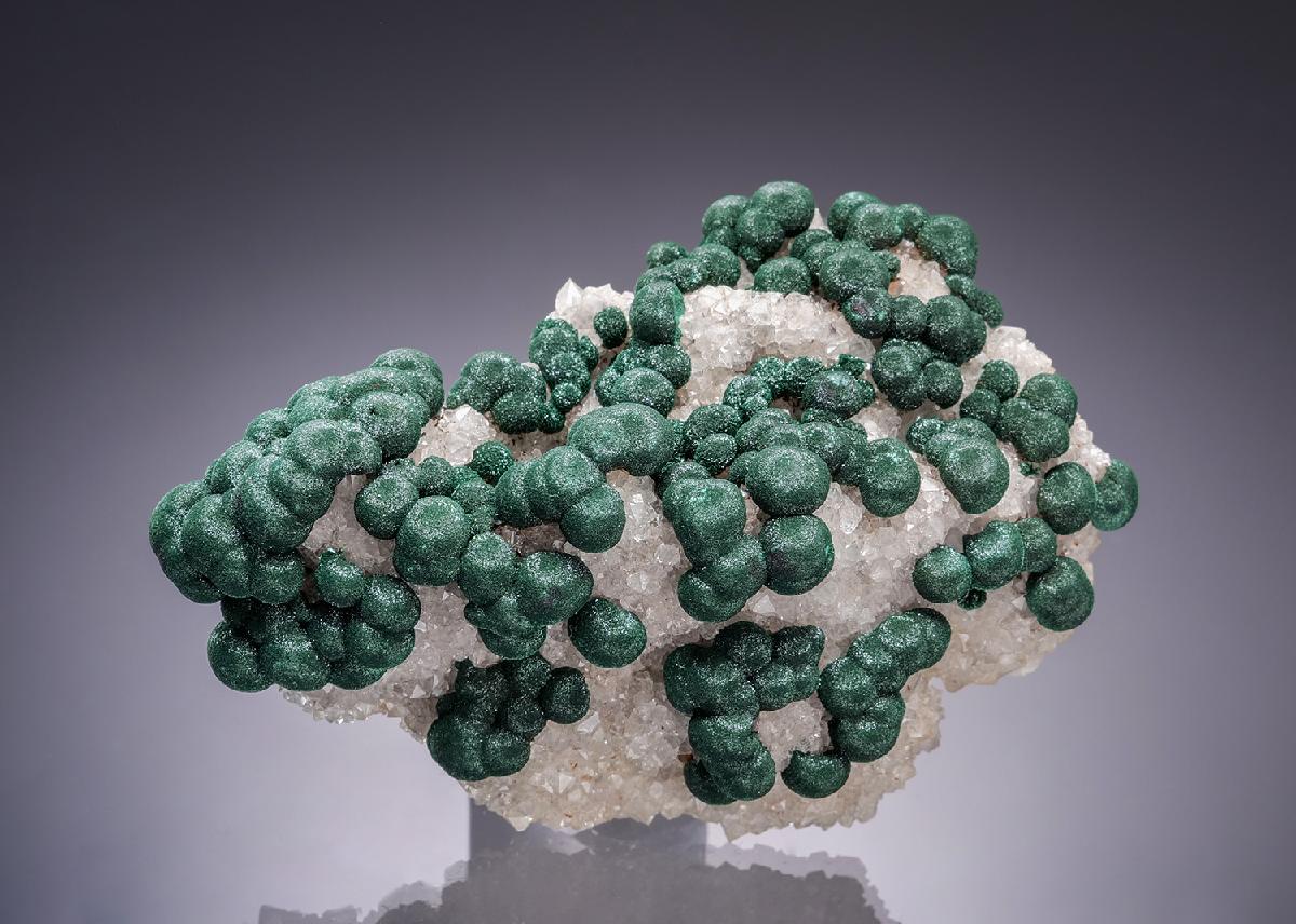 CC63555 specimen image