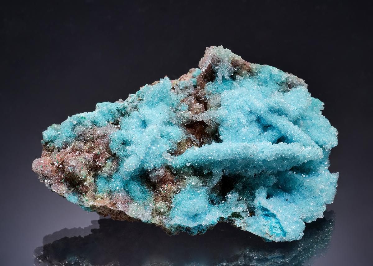 CC63570 specimen image
