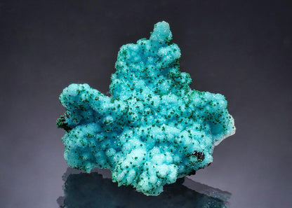 CC63573 specimen image