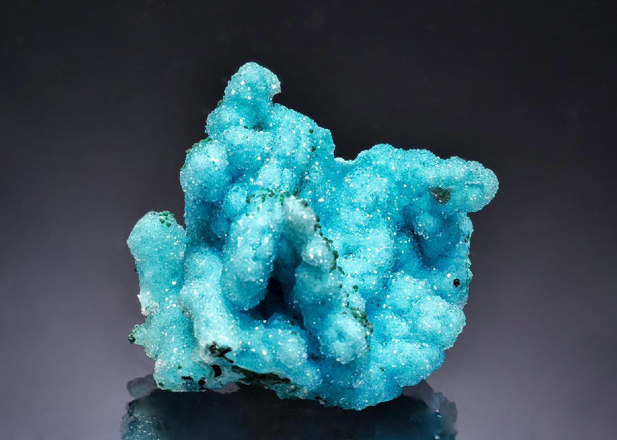 CC63576 specimen image