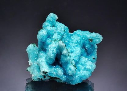 CC63576 specimen image