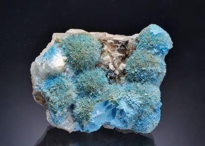 CC63579 specimen image
