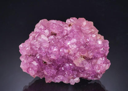 CC63582 specimen image