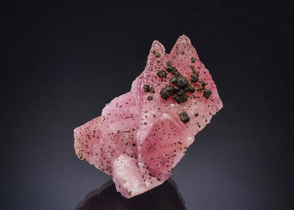 CC63588 specimen image