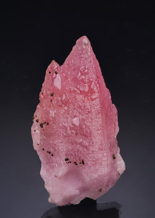 CC63594 specimen image