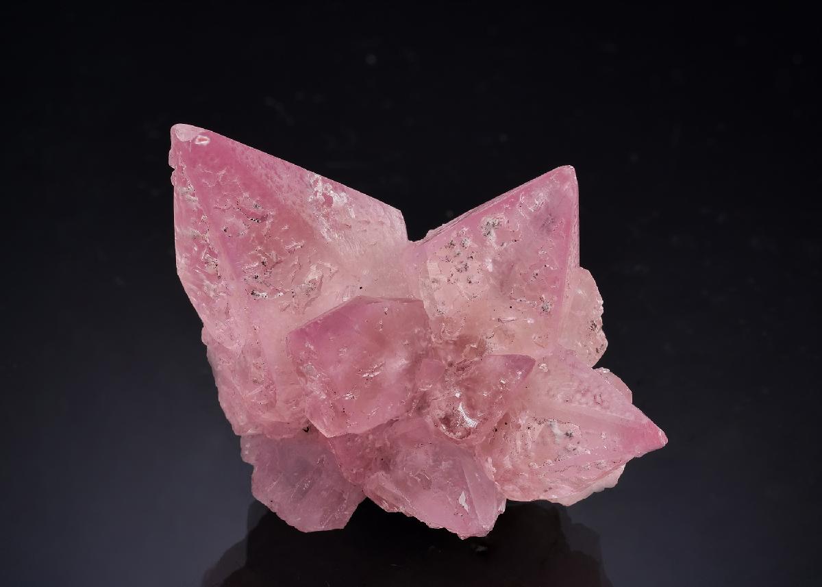 CC63597 specimen image