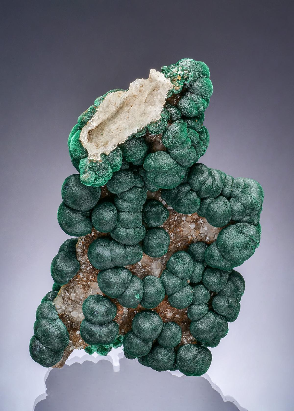 CC63600 specimen image