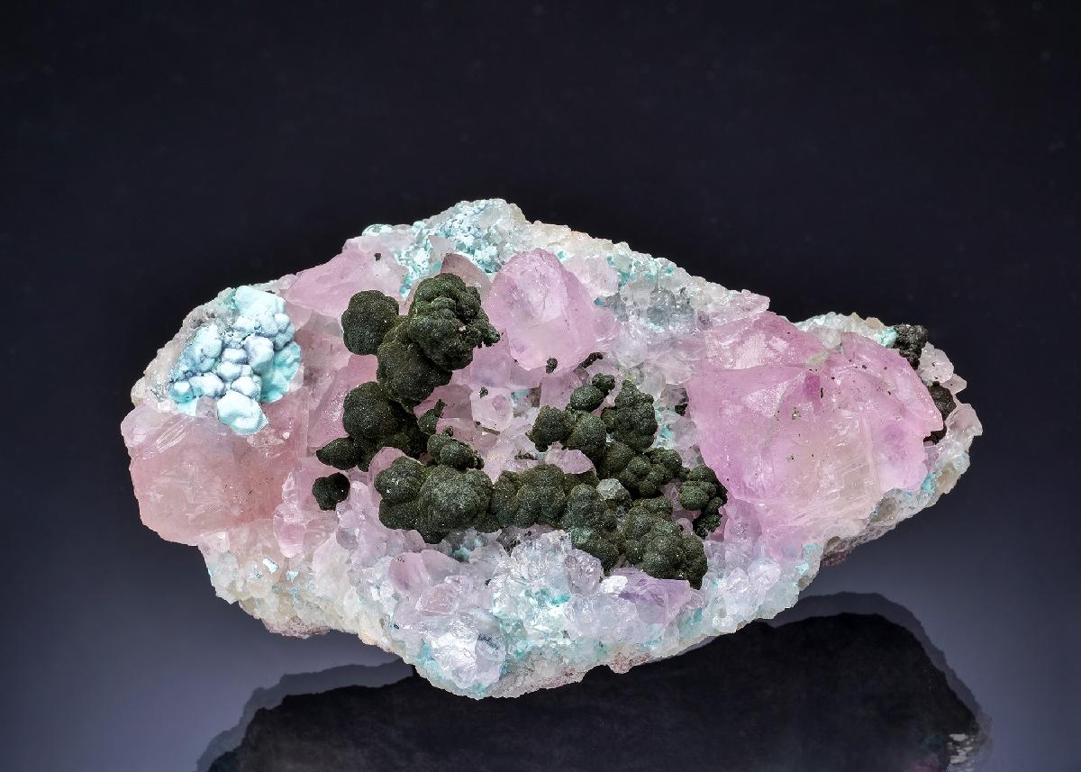 CC63609 specimen image