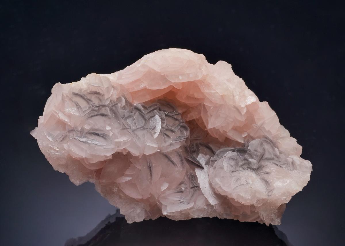 CC63612 specimen image