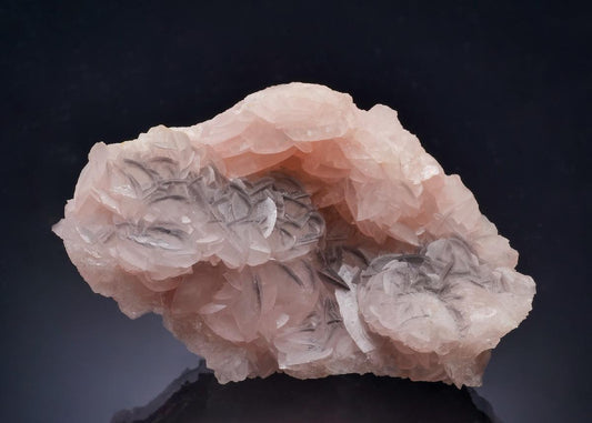 CC63612 specimen image