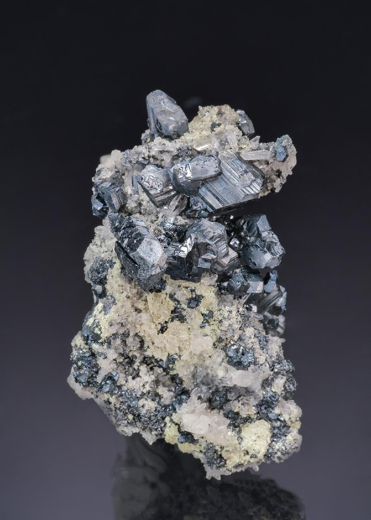 CC63624 specimen image