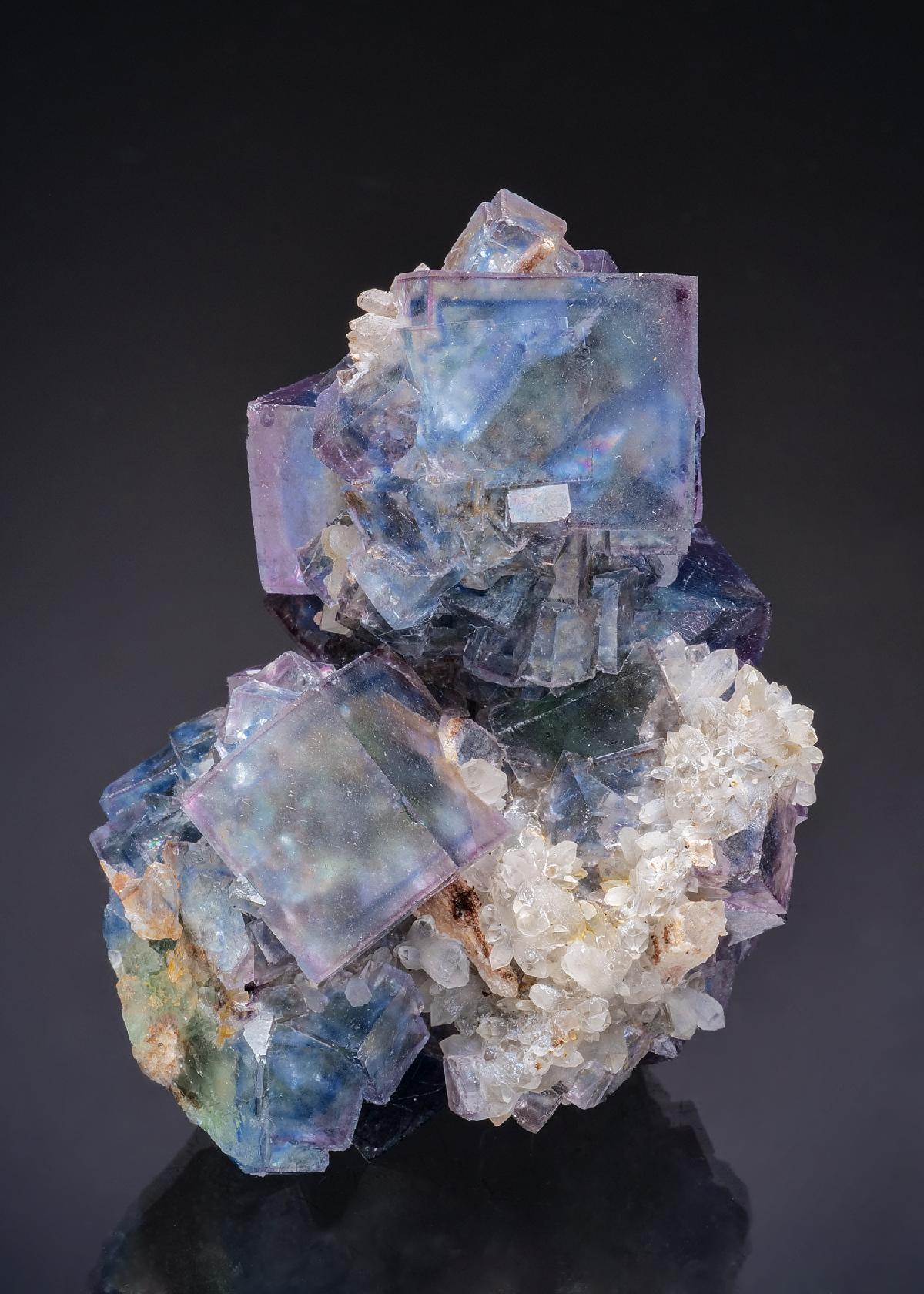 CC63630 specimen image