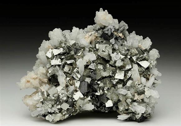 CC6365 specimen image