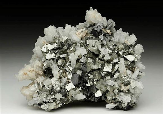 CC6365 specimen image