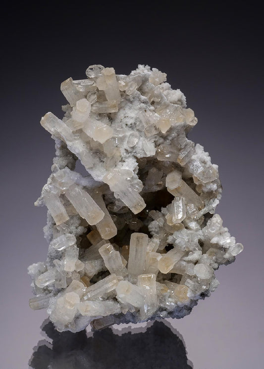 CC6367 specimen image