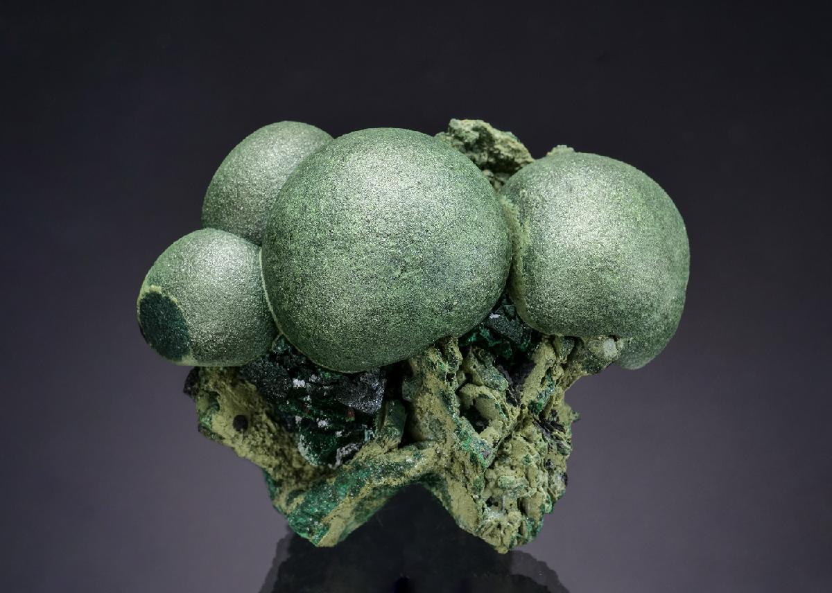CC63747 specimen image