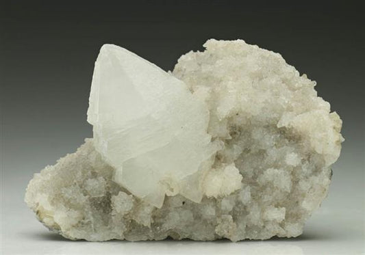 CC6375 specimen image