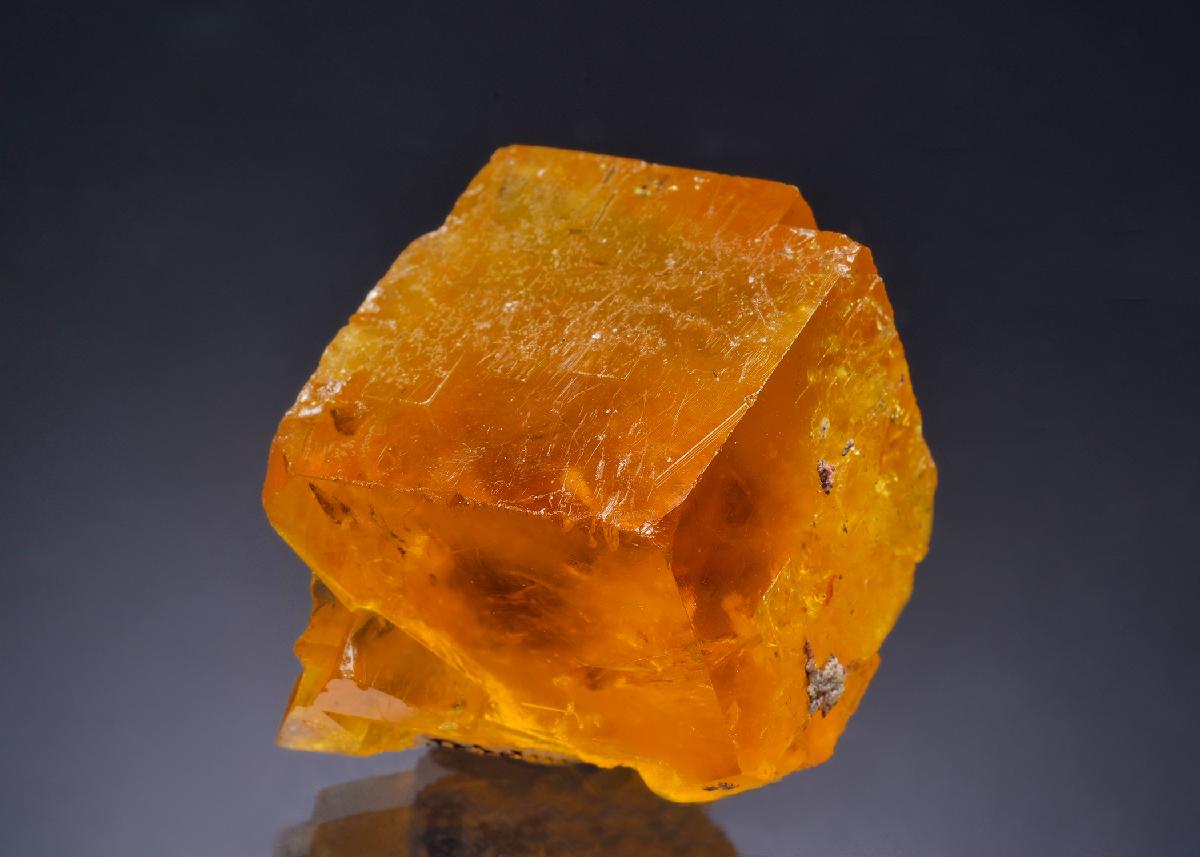 CC63999 specimen image