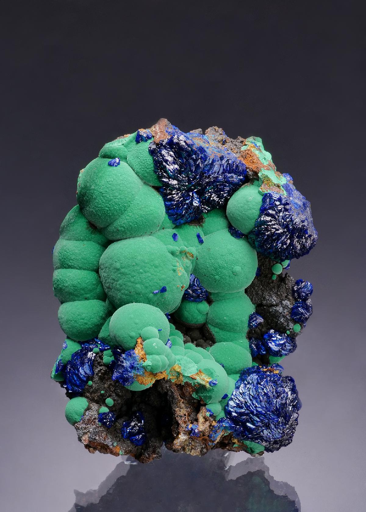 CC64002 specimen image