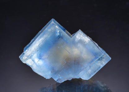 CC64014 specimen image