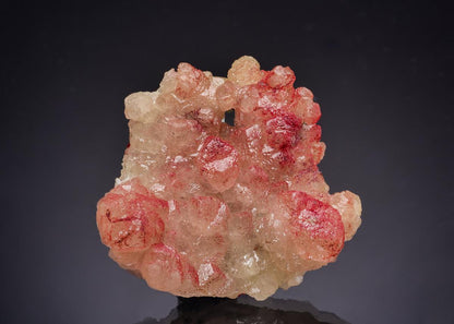 CC64017 specimen image