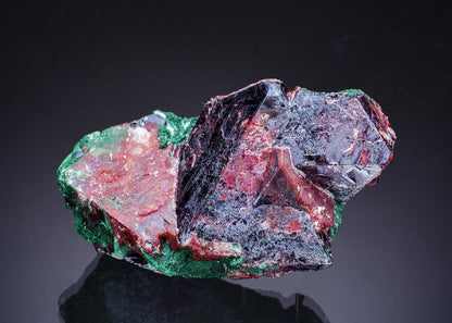 CC64029 specimen image