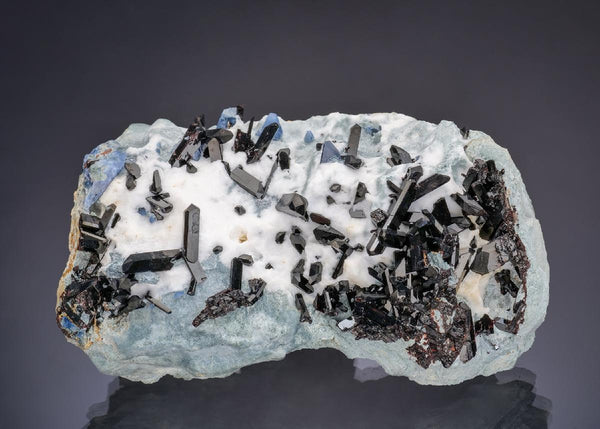 CC64035 specimen image