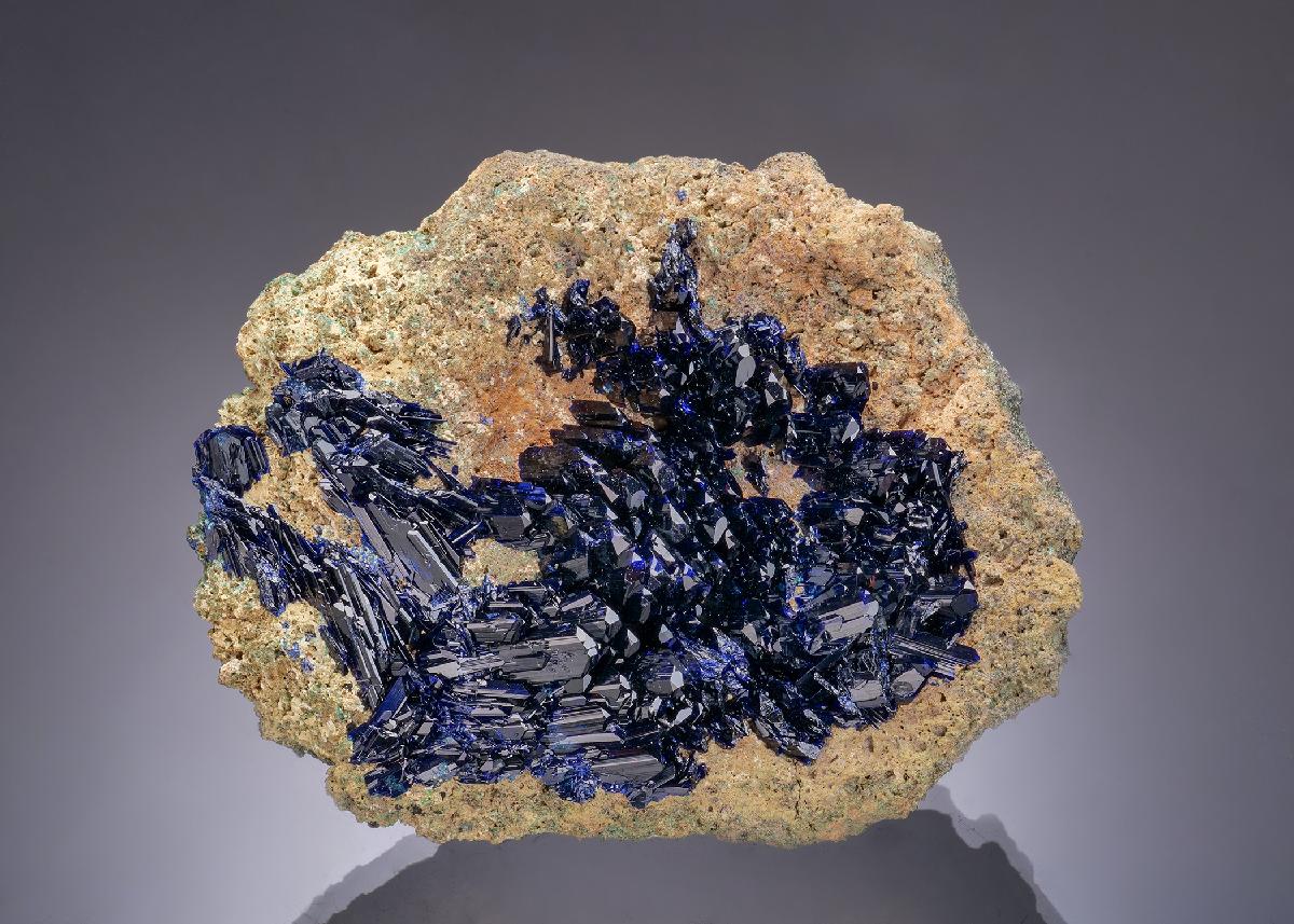 CC64041 specimen image