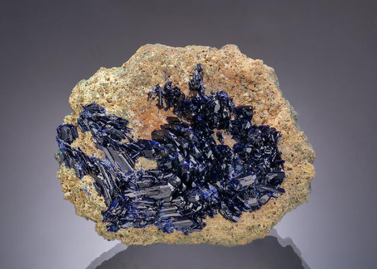 CC64041 specimen image