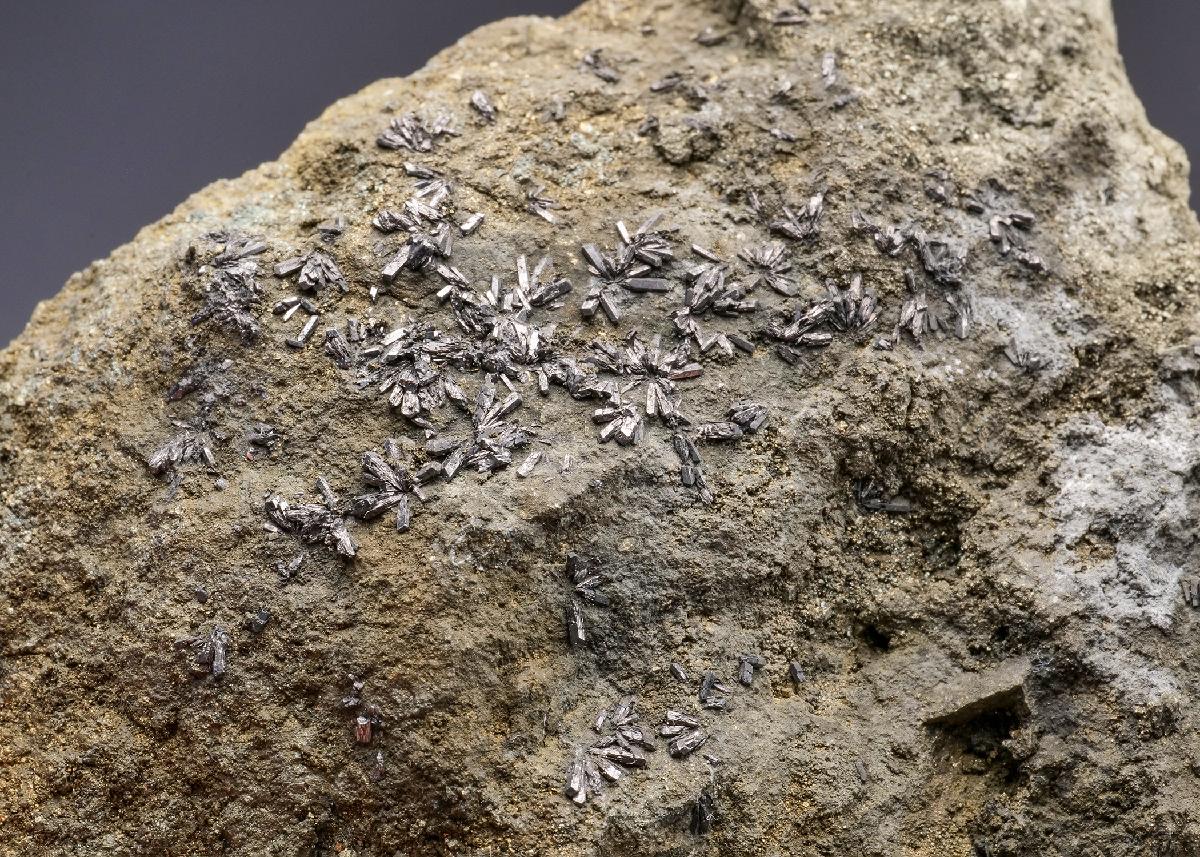 CC64044 specimen image